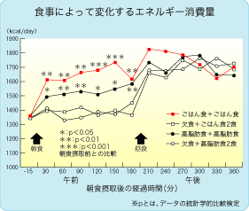 食事によって変化するエネルギー消費量