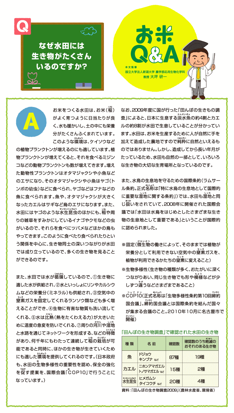 なぜ田んぼには多様な生き物がすむのか | 大塚 泰介, 嶺田 拓也