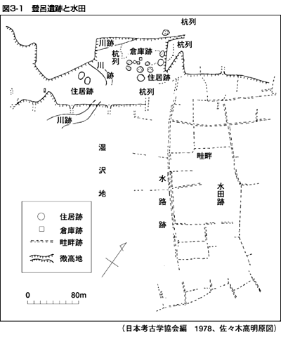 図3-1 登呂遺跡と水田