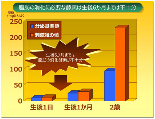 脂肪の消化に必要な酵素は生後6か月までは不十分