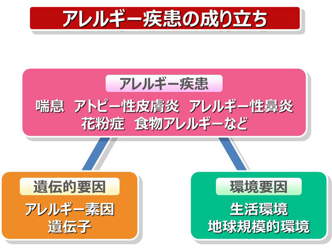 アレルギー疾患の成り立ち