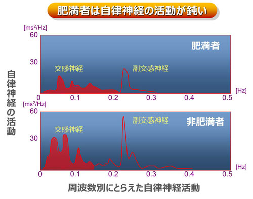 肥満者は自律神経の活動が鈍い