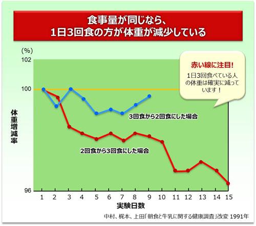 食事量が同じなら、1日3回食の方が体重が減少している