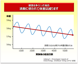 朝食を多くとった場合活動に使われて体重は減ります