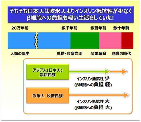 そもそも日本人は欧米人よりインスリン抵抗性が少なくβ細胞への負担も軽い生活をしていた