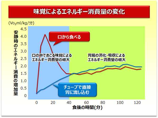 味覚によるエネルギー消費量の変化