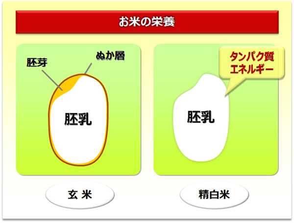 お米の栄養