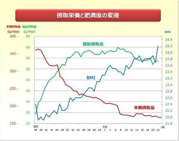 摂取栄養と肥満度の変遷